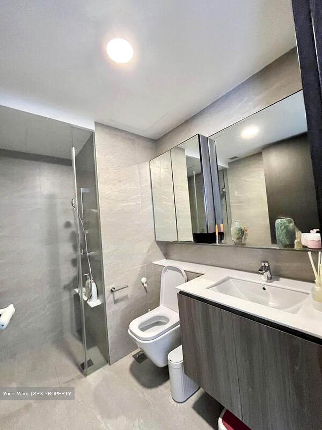 The Clement Canopy (D5), Apartment #459493531